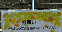 「ぎんなんの実を踏まないで」の看板→よく見てみると……「散々な言われようで草」　“辛らつな注意書き”が485万表示