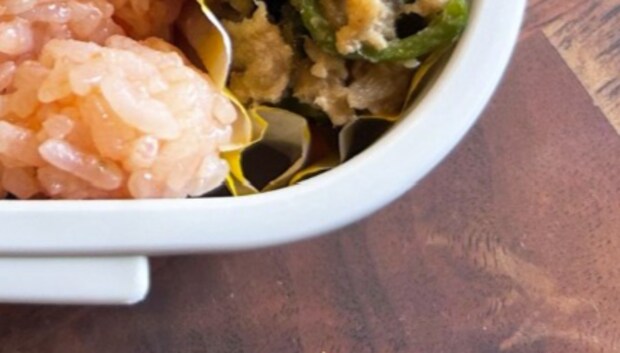 2児の母が親子遠足に出掛ける日、ウキウキで作ったお弁当は……　「これはすごい〜！」「センスありすぎる」