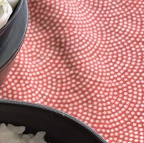 夫が毎回お小遣いから100円くれる妻のお弁当は……　感動の仕上がりに「私なら5倍出すのでそのお弁当ください」「私も旦那様になりたい」