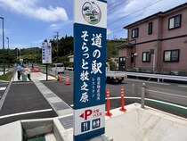 「しらす二郎盛り…！」「警告級の山盛り！」静岡県の最新道の駅がガチでヤバい　「しらすどっさりそば」一口食べて「え、合法？」ってなった…もう普通の蕎麦食べれない！
