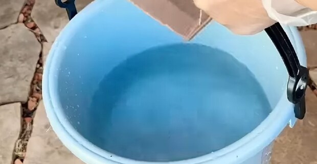 雑草ボーボーの庭タイルに“バケツと水”を使うだけで→「天才」「これはすごい!」一瞬で消え去る目からウロコの掃除術に反響