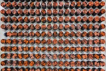 「宮城県で多い名字」ランキングTOP30！　第1位は「佐藤」【2025年最新調査結果】