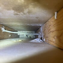 【画像】声の正体