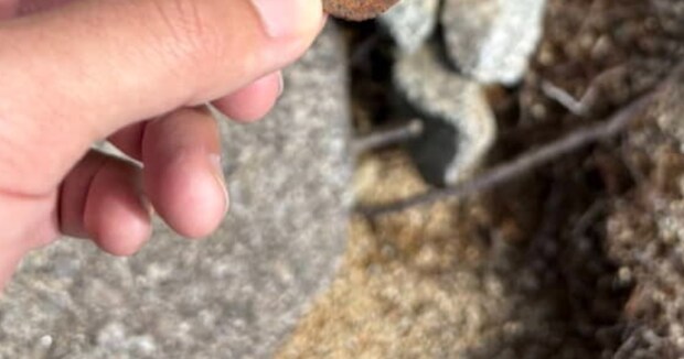 飯豊山を登っていたら……　途中で拾った“まさかの落とし物”に「おお」「大発見なのでは」「私も見つけました」