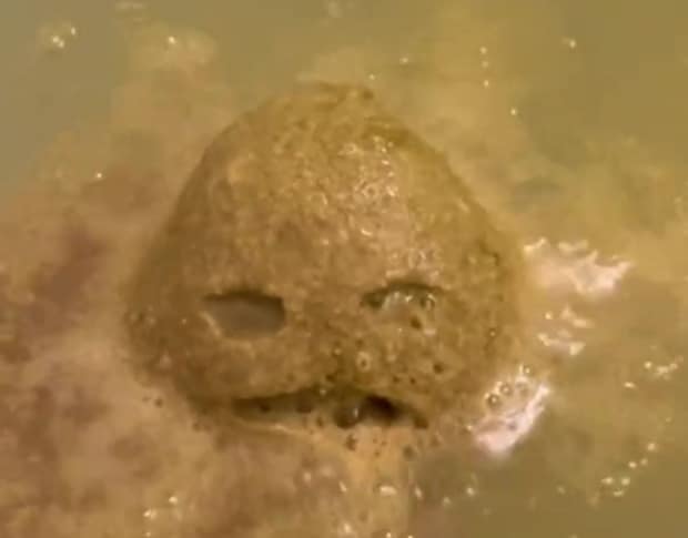 自作のジブリグッズをお風呂に沈めると……「公式でいいだろこれw」　500万再生の驚きの完成品に「欲しすぎる」「センスあり過ぎ」