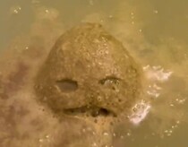 【動画】詳しい作り方