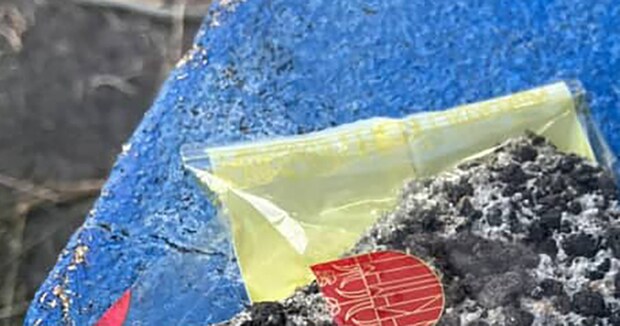 「チョコチップ胡麻クッキーです」→渡されたものをよく見たら……「ひどいww」 まさかの差し入れに「おいしそうにみえる」「殺す気かよw」