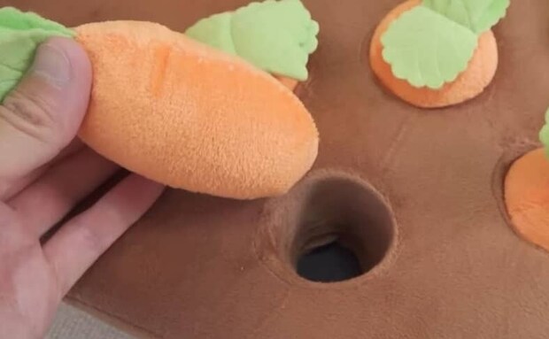 シマリスに豪華なおもちゃを与えたら……　絶対電車で見ちゃダメな光景に「言葉にならん」「涙出た」