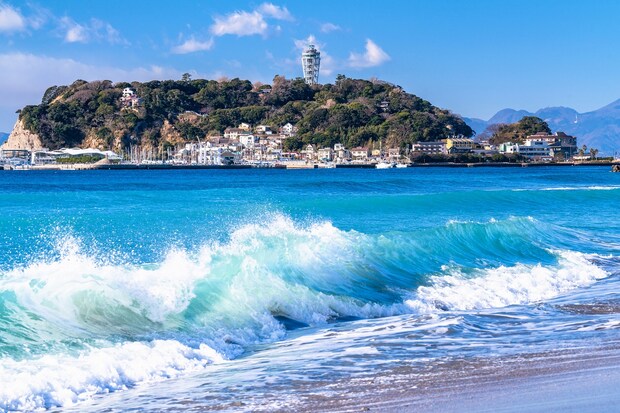 【湘南観光】「クラゲ好きにはたまらない」“新江ノ島水族館”が人気　「イルカショーも鳥肌になるくらい感動した」「拍手が止まりません」