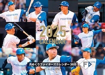 【関東在住者が選ぶ】ユニフォームがかっこいい「プロ野球チーム」ランキングTOP12！　第1位は「北海道日本ハムファイターズ」【2025年最新調査結果】