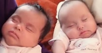 双子の赤ちゃん→誕生から6週間後……　母仰天な成長の違いに「びっくりしました」「にこにこしちゃいます」