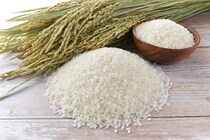 【画像：ランキング15位～1位を見る】