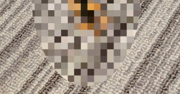 「閲覧注意すぎ」 図書館で勉強中、ズボンの中がもぞもぞして……地を這う“恐ろしい物体”に「まじで危ない」「こんなの耐えられない……」「げえええ」