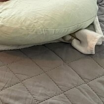 ママが編み物を始めて、わずか10分後→双子赤ちゃんが……　思わぬ光景に「笑いました」「奇跡的なシンクロ」