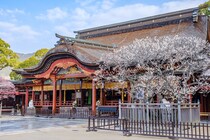 【30代以下が選ぶ】名前がかっこいい「福岡県の市町村」ランキングTOP26！　第1位は「太宰府市」【2025年最新調査結果】