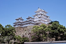 【画像：ランキング30位～1位を見る】