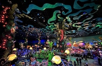 【画像】記事を読む