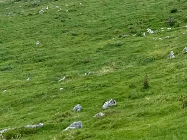 「衝撃を受けると思う」日本のスイスとも呼ばれる“四国カルスト”に「信じられないほどの絶景」「まるで物語の世界に迷い込んだよう」