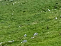 「衝撃を受けると思う」日本のスイスとも呼ばれる“四国カルスト”に「信じられないほどの絶景」「まるで物語の世界に迷い込んだよう」