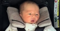 チャイルドシートにすっぽり収まる赤ちゃん→半年後……　同じ場所で撮った“現在の姿”に「こんなにも大きくなるの!?」「貫禄が」