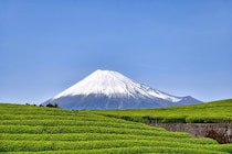 【都民に聞いた】「静岡県のライバルだと思う都道府県」ランキング！　第1位は「山梨県」ともう一つは？