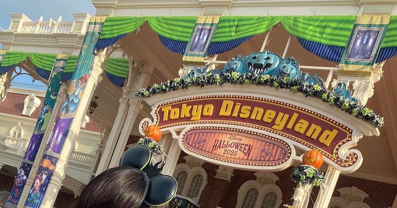 ディズニーファン、Dハロで“まさかの仮装”「キャスト2度見しそうw」予想外の姿に「あまりにも平成」「タイムリープしてる？」「発想天才w」