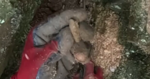 深い山で“宝の山”に遭遇→夢中でほじくると……　まさかの展開に「あれだけ出たらアドレナリンドバドバ」