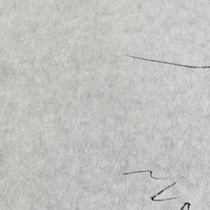 【画像】記事を読む