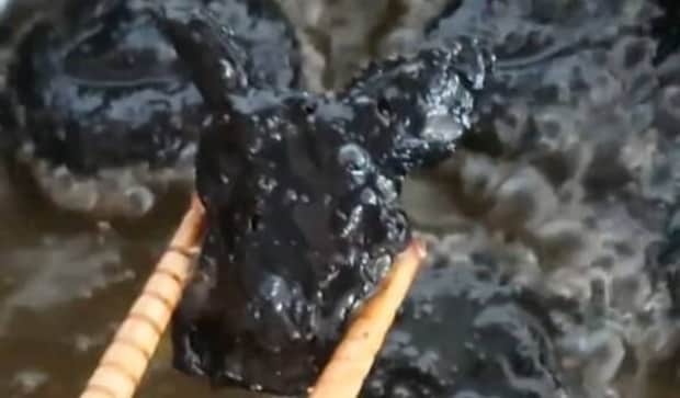 ポケモンを再現した真っ黒なフライ、丸焦げと思ったら……　「きゃー！」「ピカチュウってこうなっているんだね」「謎ですね笑」