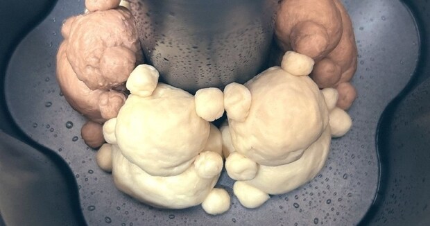 くまのパンを焼こうとしたら……「嫌な予感」「良い子でいるのよ!」→“焼きあがった姿”が1900万表示「ぎええ」「こうなるのか」