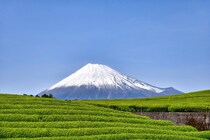 【都民に聞いた】「静岡県のライバルだと思う都道府県」ランキングTOP30！　第1位は「山梨県」と「神奈川県」【2024年最新調査結果】
