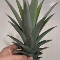 【画像】実食している様子