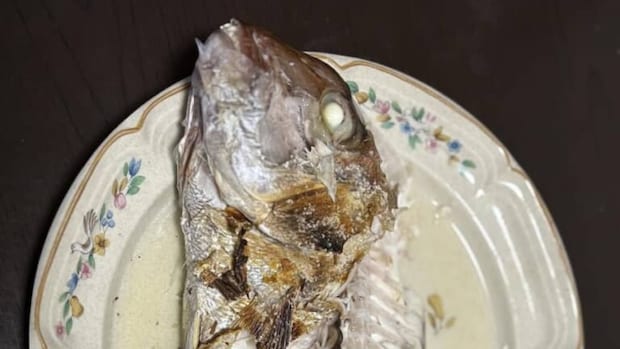 母が買ってきた“値下げされた鯛”を食べていたら……「えーっ!!」　“レアな物体”との出会いに感動「初めて見た」「羨ましい！」