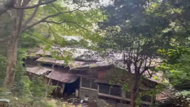 山奥のジャングル廃墟→たった2年で……　驚きの“現在”に反響「泣けました」「圧巻ですね」