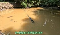 大量にザリガニがいる池、駆除して3日目と約300日目の池を比べると……　目を疑う光景に「まさに天国と地獄」「信じられない」「本当にすごい」