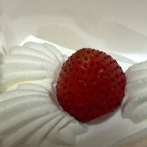 550円と480円のショートケーキ、それぞれ違う店で買ったら……「ええっどうなっとるん」まさかのビジュアル差に「あらまぁ」「うそや～ん」