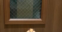 外に出せと訴えるハムスター→よく見ると……　誰が見ても“準備万端な姿”に「旅に出るの？」「覚悟決まってますね」