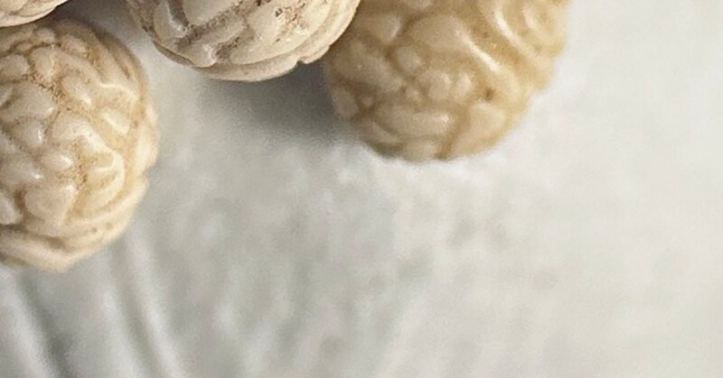 山を散策中、大量に見つかった“謎の石”……その“奇妙すぎる見た目”が250万表示 「なんじゃこれは!?」「脳みそみたい」