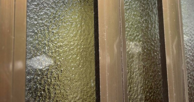 玄関ドアの隙間をふと見ると……「絶叫しちゃいます」　住み着いた“まさかの生き物”に「しっくりきてるんですねw」