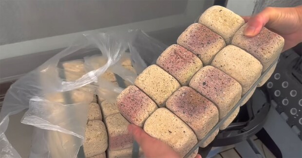 ベランダにミニレンガを積み重ねたら“想像以上の仕上がり”　50代女性のDIYに「とても素敵！」「惚れ惚れします！」