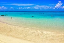 【画像：ランキング30位～1位を見る】