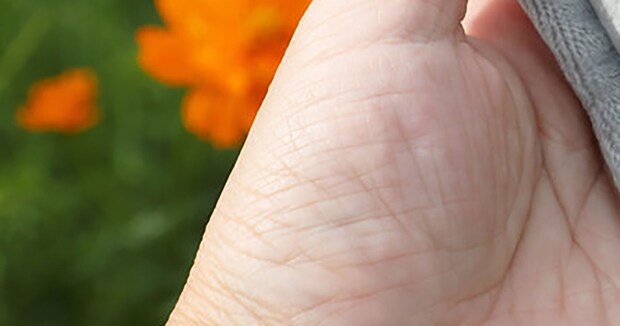 大仏写真家「不覚にも購入してしまった」→“表情がイイ”個性的アイテムに「これはスルーできませんよ！」「私も買っちゃう」