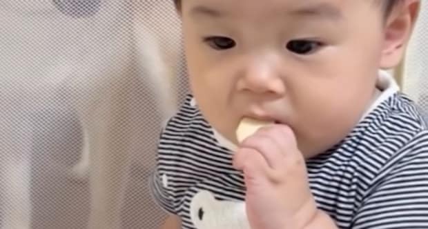 ベビーせんべいを食べるわが子、背後を見たら……「世界一食べづらい」まさかの光景に「かわいいww」「ちゃんと味したかな？」と64万再生