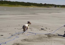 【画像】記事を読む