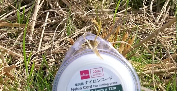ダイソー“究極の雑草対策グッズ”を試してみたら……「すげえなw」「良いコト教わった！」目からウロコの結果に反響