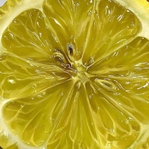 【画像】意外な正体