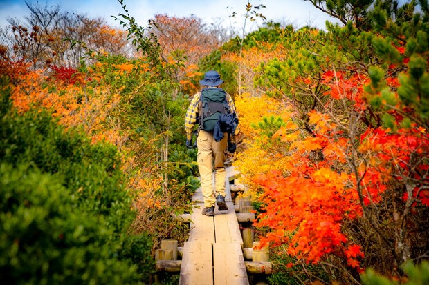 【関東在住者に聞いた】紅葉を見に行きたい「都道府県」ランキング！　2位は「北海道」、1位は？