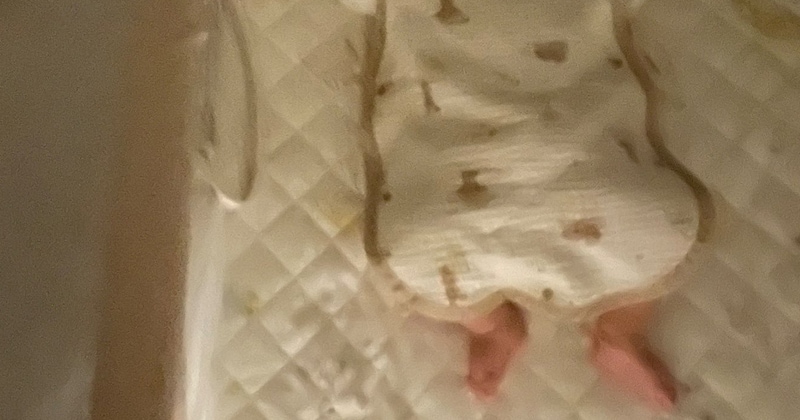 3歳児と0歳赤ちゃんを寝かしつけしていたら……「ありえないぐらい尊いんだが」 280万表示の“感動の光景”に「こりゃ泣くって!!」「いいものみた」