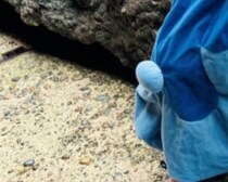 【画像】記事を読む