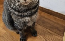 【画像】分かりましたか？